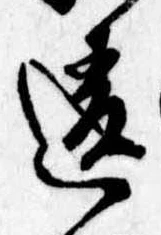 Đã định vị 違