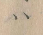 Located 𛂞