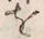 字浦