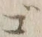 𡨸ご