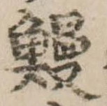 已定位鰻