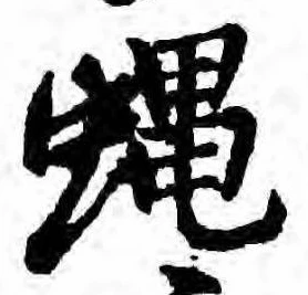Đã định vị 蝿