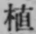 文字 植