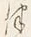 「つ」字