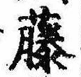 已定位藤
