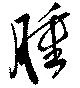 已定位腫