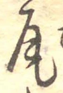 Located 尾