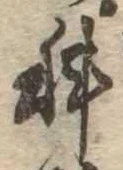 位置定マレル科
