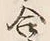 Chữ 合