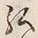字弘