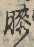 已定位膝