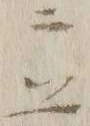 文字前