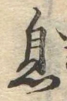 已定位息