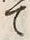 字見