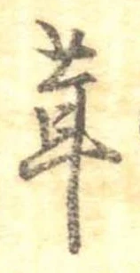 位置定マレル茸