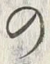 字謀