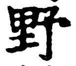 Character 野