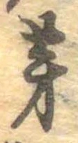 位置 確認된 芽