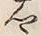 「郷」字