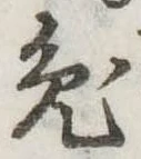 已定位兎