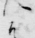 「が」字