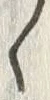 “そ”字