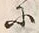 “松”字