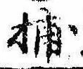 Đã định vị 捕