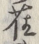 已定位雀