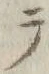 字ャ