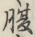 字腹