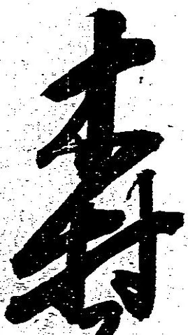 位置定マレル森