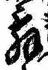 位置 確認된 舞