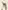 字事