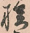位置定マレル族