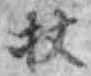 Character 杖
