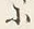 字其