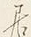 字す