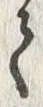 “禿”字