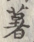 已定位薯
