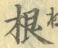 Đã định vị 根