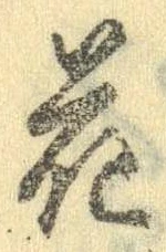 位置 確認된 花