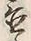 Character 置