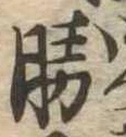 已定位勝