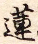 Đã định vị 蓮