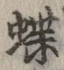 位置定マレル蝶