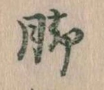 位置 確認된 脚