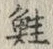 文字鮭