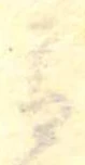 Đã định vị 青