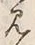 字見